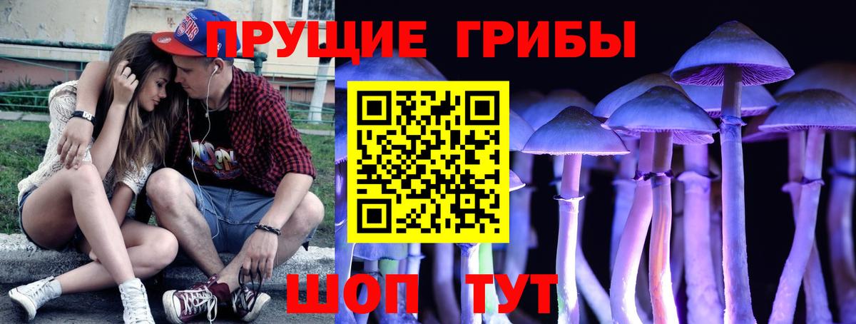 Псилоцибиновые грибы мухоморы  продажа наркотиков  Узловая  Псилоцибиновые грибы Psilocybe  Вход с VPN 