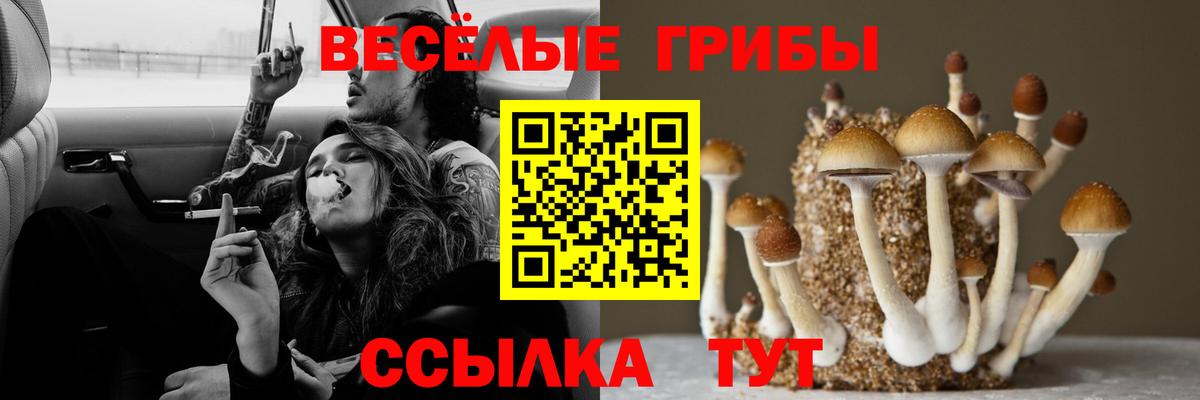 Галлюциногенные грибы Magic Shrooms Узловая