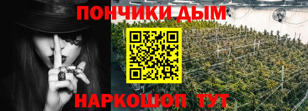 Канабис индика Узловая